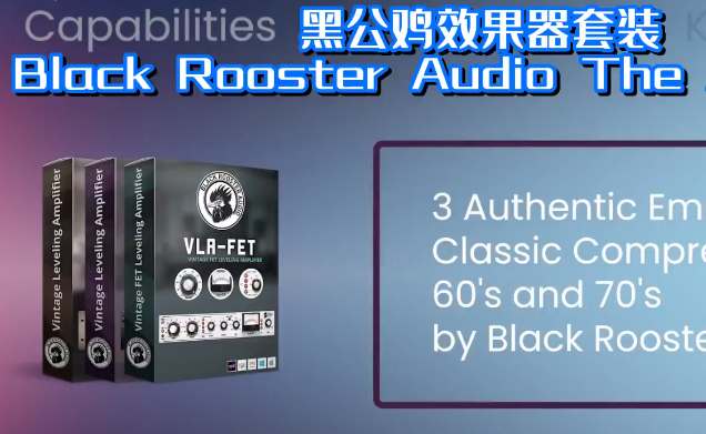 Black Rooster Audio The All Bundle v2.6.6 WIN1111-KK音频资源网