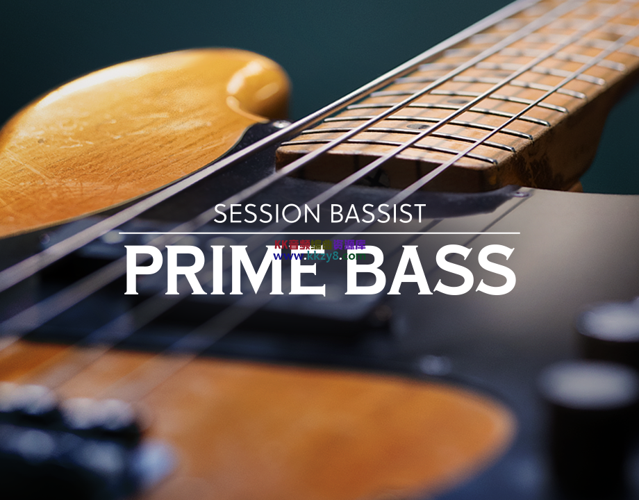 芬达电贝斯节奏音色库！Native Instruments Session Bassist Prime Bass v1.0.1 KONTAKT-KK音频资源网