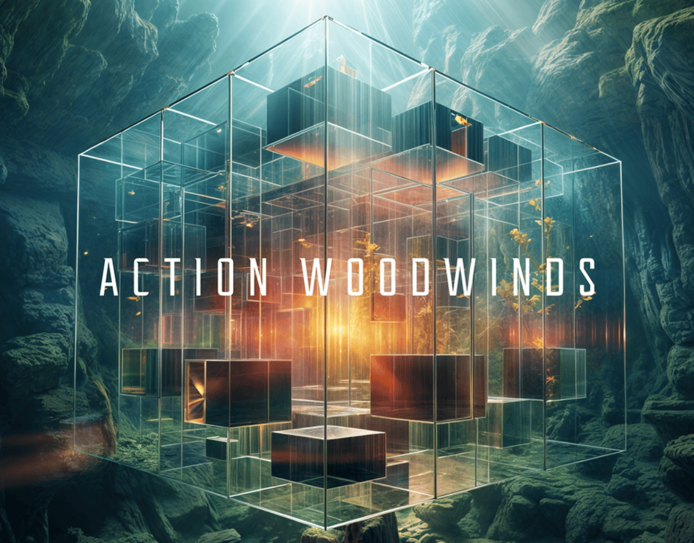 全新影视木管乐句音源！Native Instruments Action Woodwinds v1.0.0 KONTAKT-KK音频资源网