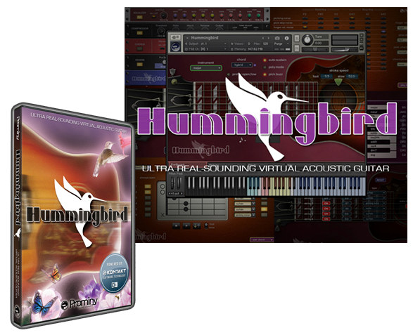 蜂鸟木吉他音源！Prominy Hummingbird v1.26 KONTAKT-音创魔方