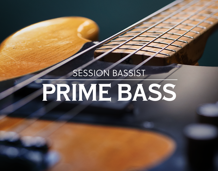 芬达电贝斯节奏音色库！Native Instruments Session Bassist Prime Bass v1.0.1 KONTAKT-音创魔方